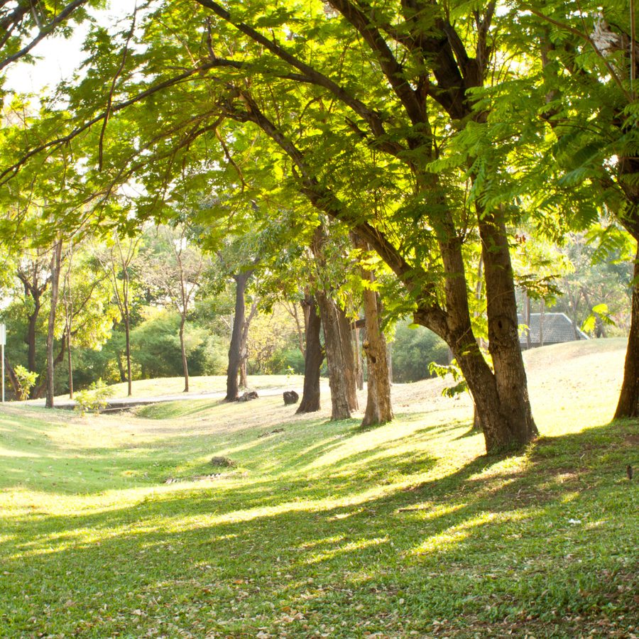Livret d'accueil pour Camping