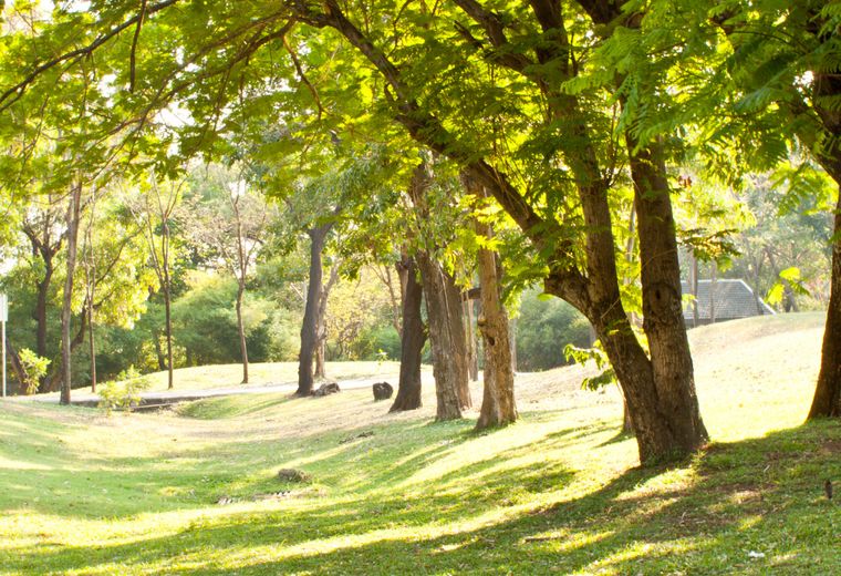 Livret Camping Les Pins Bleus
